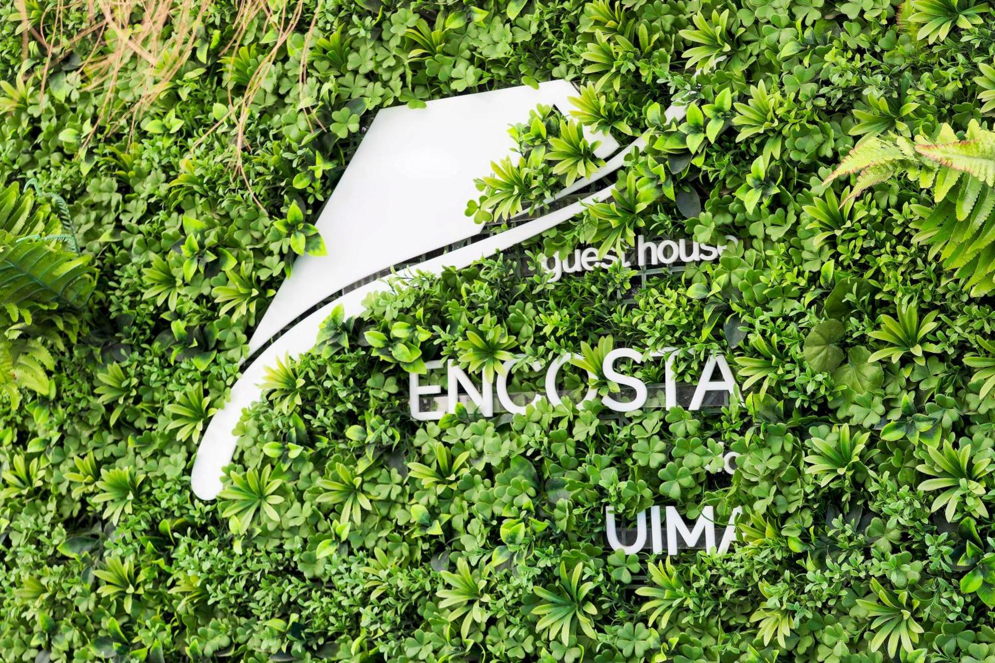 Encosta Do Uima - Guest House Caldas de Sao Jorge Bagian luar foto